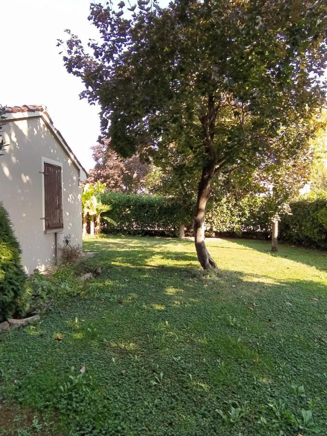 B&B Il Ponticello Gualtieri ภายนอก รูปภาพ